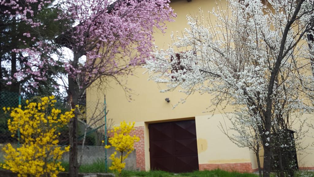 Allevamento B&B Pozzol Groppo エクステリア 写真